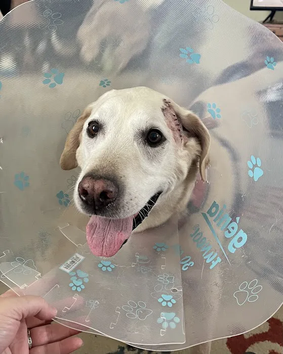 Lake Brandt Veterinary Hospital 12