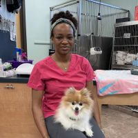 Lake Brandt Veterinary Hospital ico