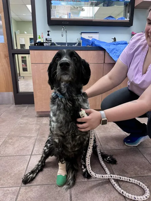 Lake Brandt Veterinary Hospital 12