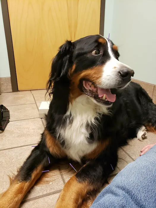 Lake Brandt Veterinary Hospital 12