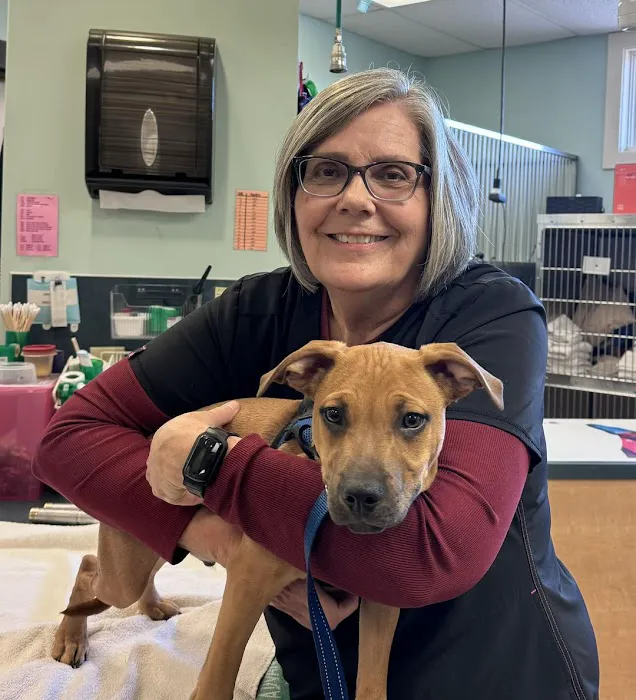 Lake Brandt Veterinary Hospital 12