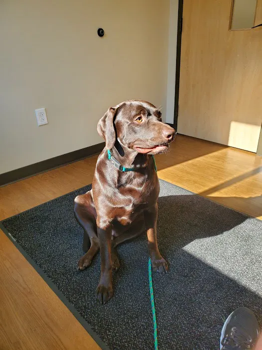 Animal Allergy and Ear Clinic 12