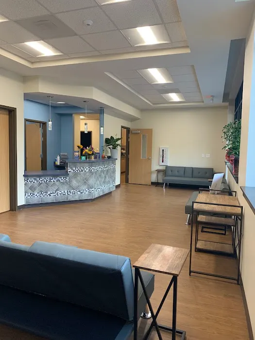 All About Eyes Vet Ophthalmology Clinic 12