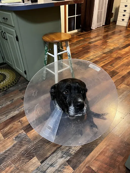 Reidsville Veterinary Hospital, Inc. 12