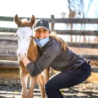 Carolina Equine Hospital ico