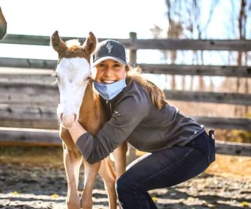 Carolina Equine Hospital
