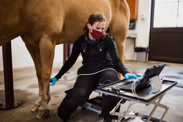 Carolina Equine Hospital 3