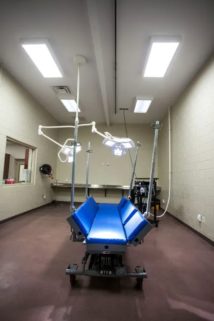 Carolina Equine Hospital 7