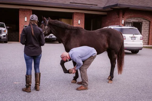 Carolina Equine Hospital 8