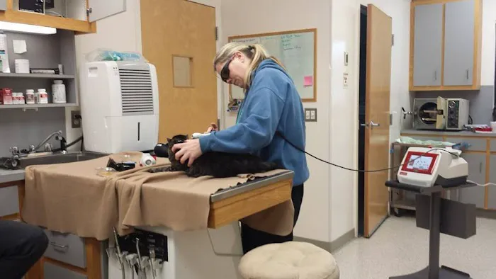 Northeast Veterinary Hospital 3