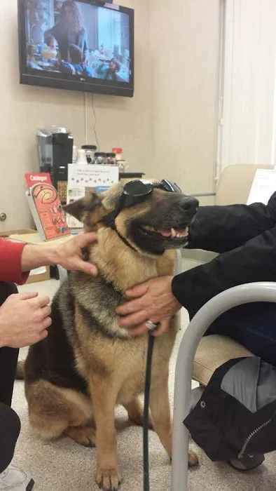 Northeast Veterinary Hospital 2