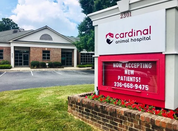 Cardinal Animal Hospital 12