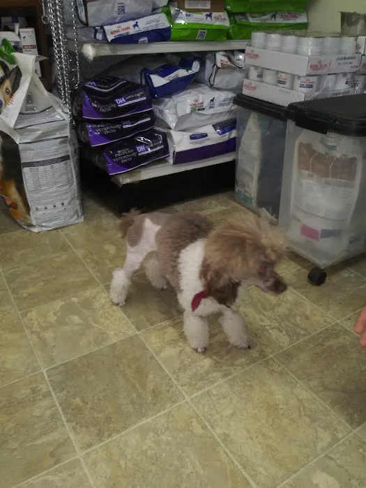 Town & Country Veterinary Clinic 12