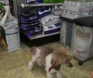 Town & Country Veterinary Clinic