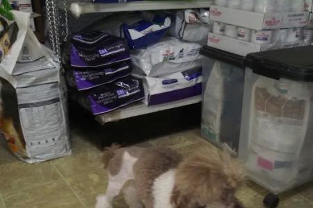 Town & Country Veterinary Clinic