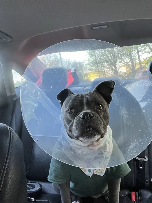 Happy Tails Veterinary Emergency Clinic 4