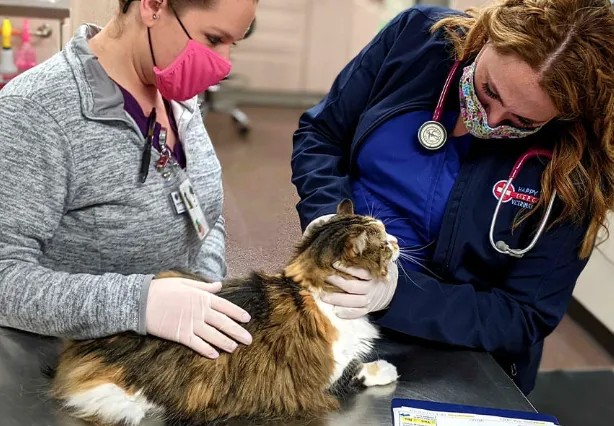 Happy Tails Veterinary Emergency Clinic 5