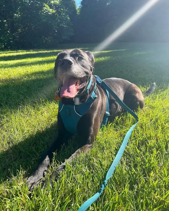 Happy Tails Veterinary Emergency Clinic 7