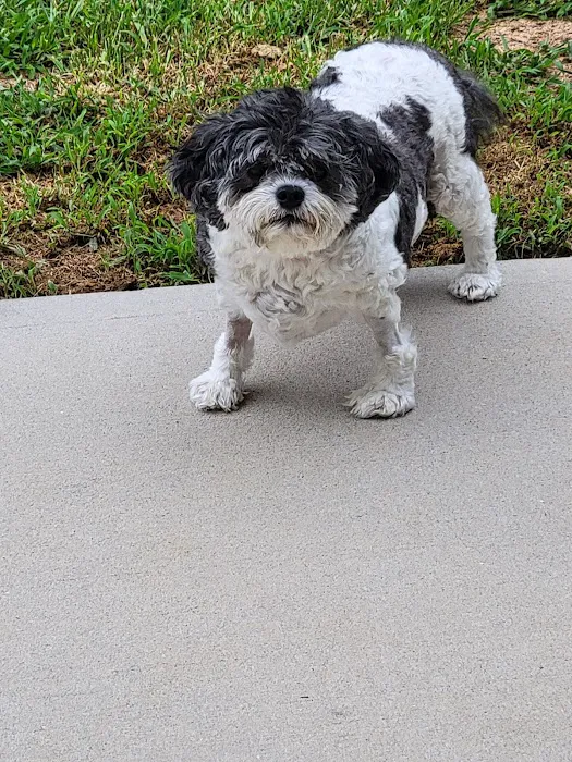 Happy Tails Veterinary Emergency Clinic 8