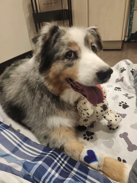 Happy Tails Veterinary Emergency Clinic 1