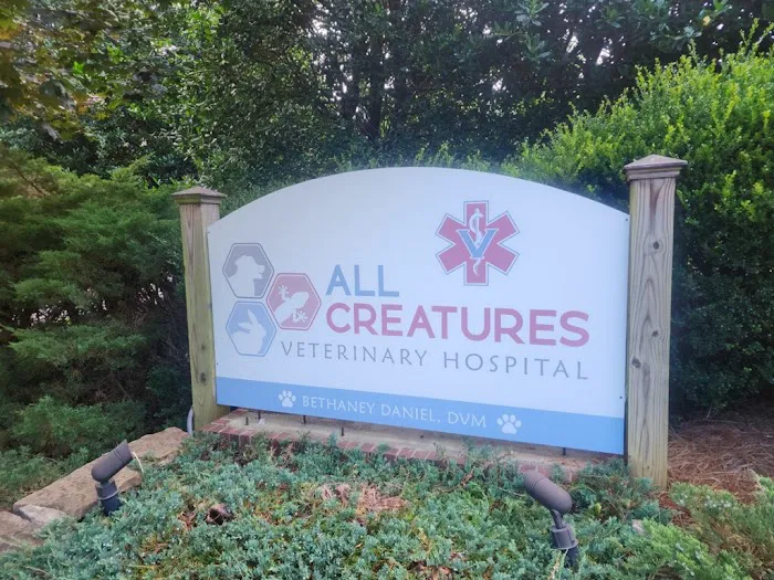 All Creatures Veterinary Hospital 12