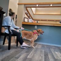 All Creatures Veterinary Hospital ico