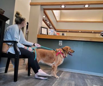 All Creatures Veterinary Hospital