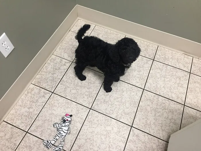 Lawndale Veterinary Hospital 12