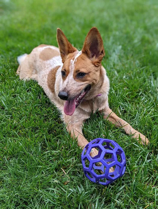 Westlake Veterinary Medical Center 12