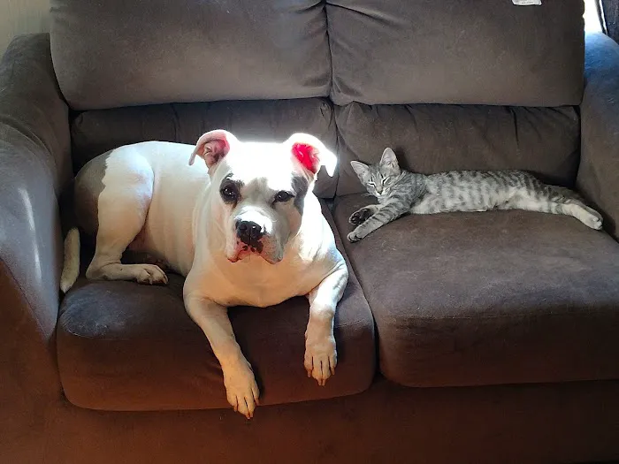 Westlake Veterinary Medical Center 12