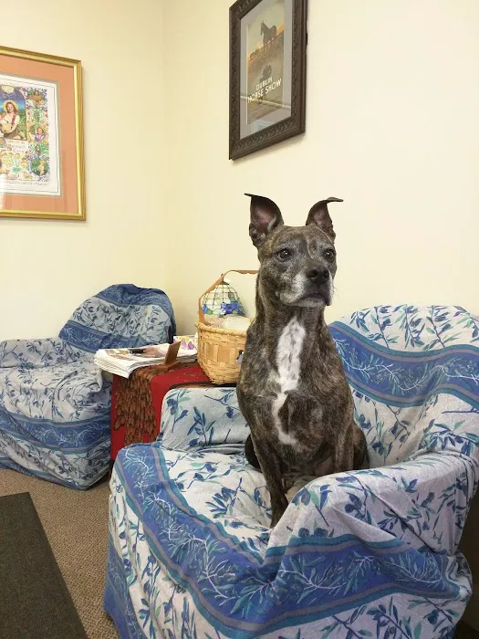 Holistic Veterinary Consultants 5