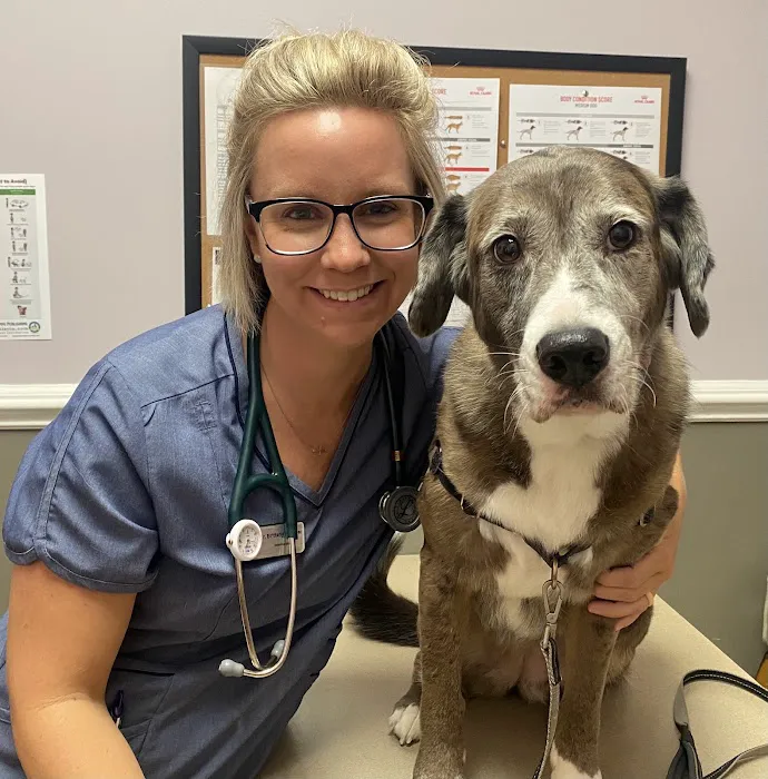 Companion Animal Clinic 3