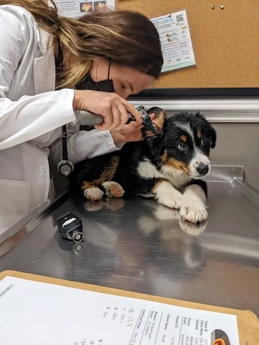 Companion Animal Clinic 7