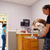 Companion Animal Clinic ico