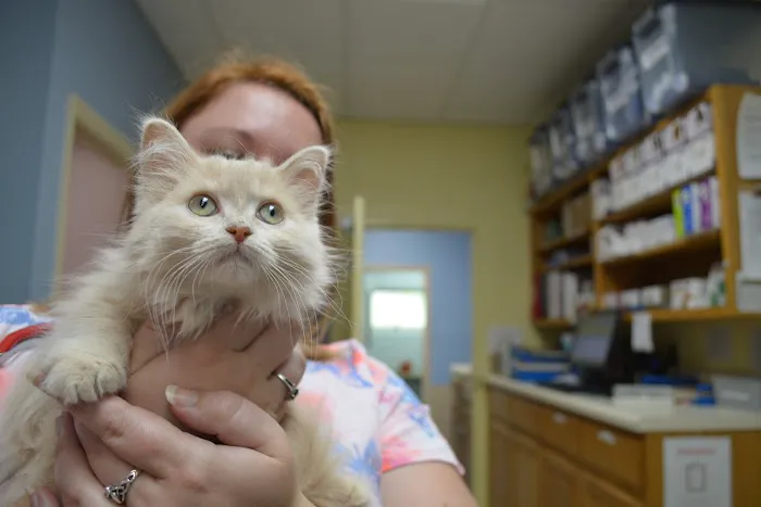 Companion Animal Clinic 6