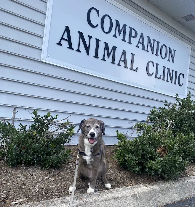 Companion Animal Clinic 4