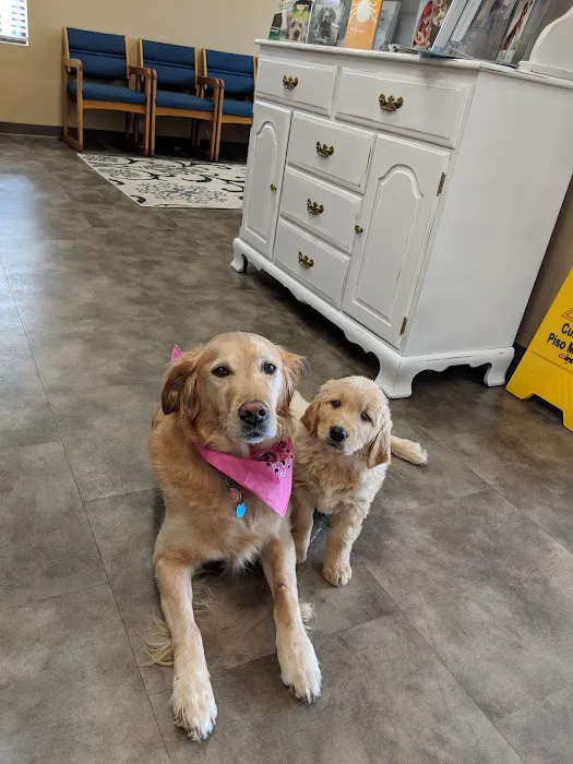 Main Street Veterinary Clinic 7