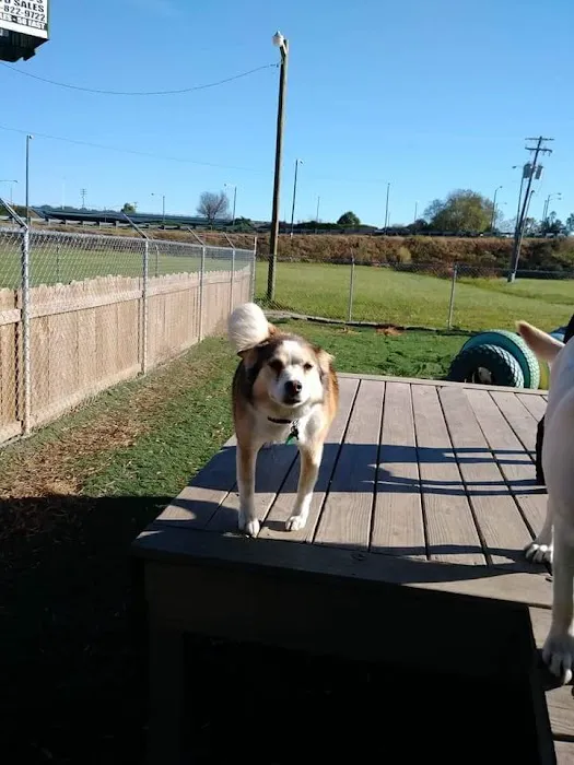 Animal Medical Center 12