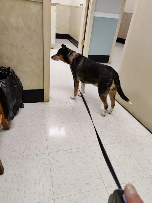 Animal Medical Center 12