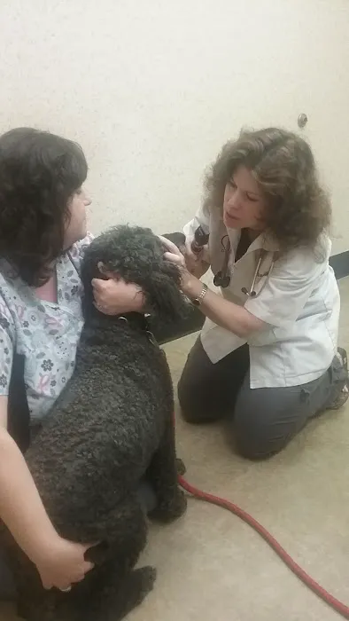 Animal Medical Center: Laura Luffman, DVM 12
