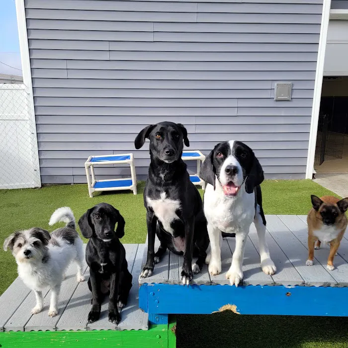 Danville Family Vet 12