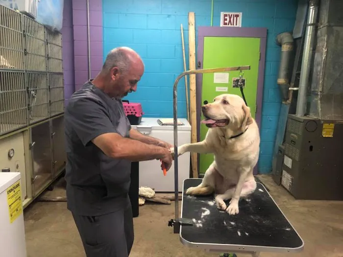 Mt. Hermon Animal Medical Center 12