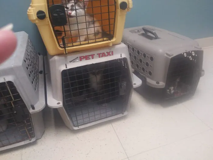 Mt. Hermon Animal Medical Center 12