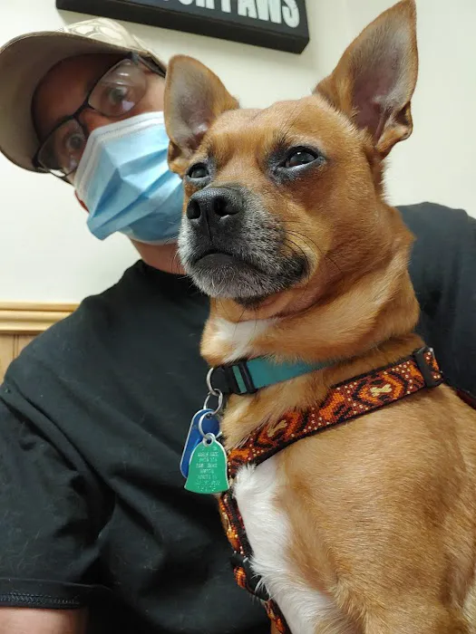 Smith Mountain Lake Animal Hospital 6