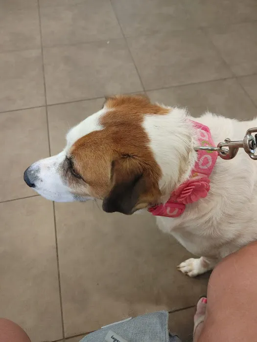 Smith Mountain Lake Animal Hospital 10