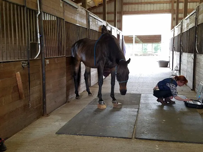 Zephyr Equine Veterinary Services 2