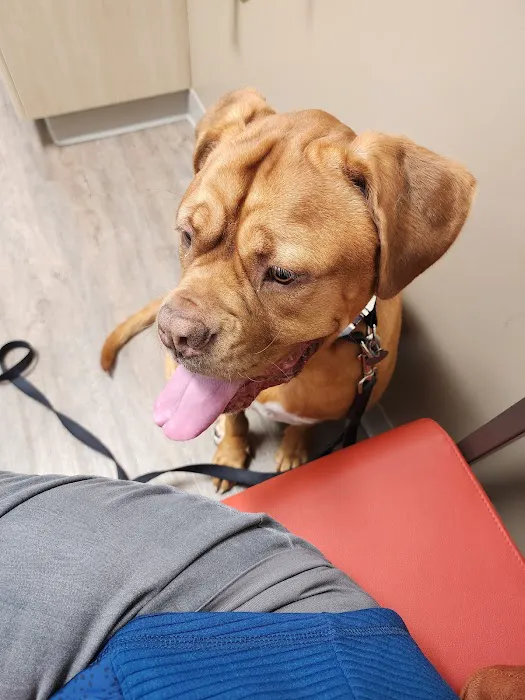Sherwood Family Pet Clinic 6