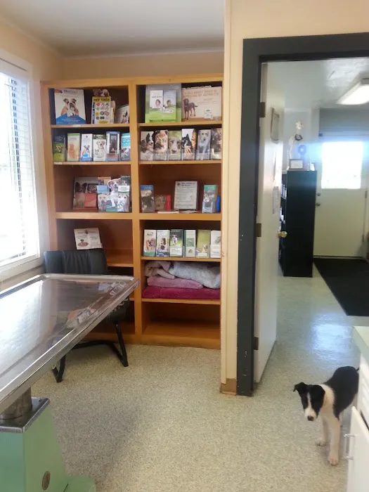 Abiqua Animal Clinic 9