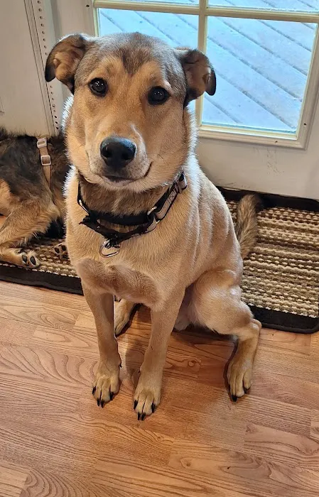 Silver Creek Animal Clinic LLC 9