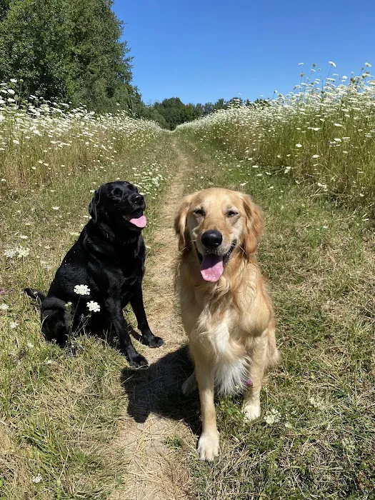 Silver Creek Animal Clinic LLC 10